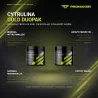 Wielopak 2x Promaker Gold Citrulline 250g – najważniejsze korzyści i skład