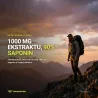 Booster Testosteronu PROMAKER Tribulus Maximus 60tab – everyday supplement from a Polish manufacturer