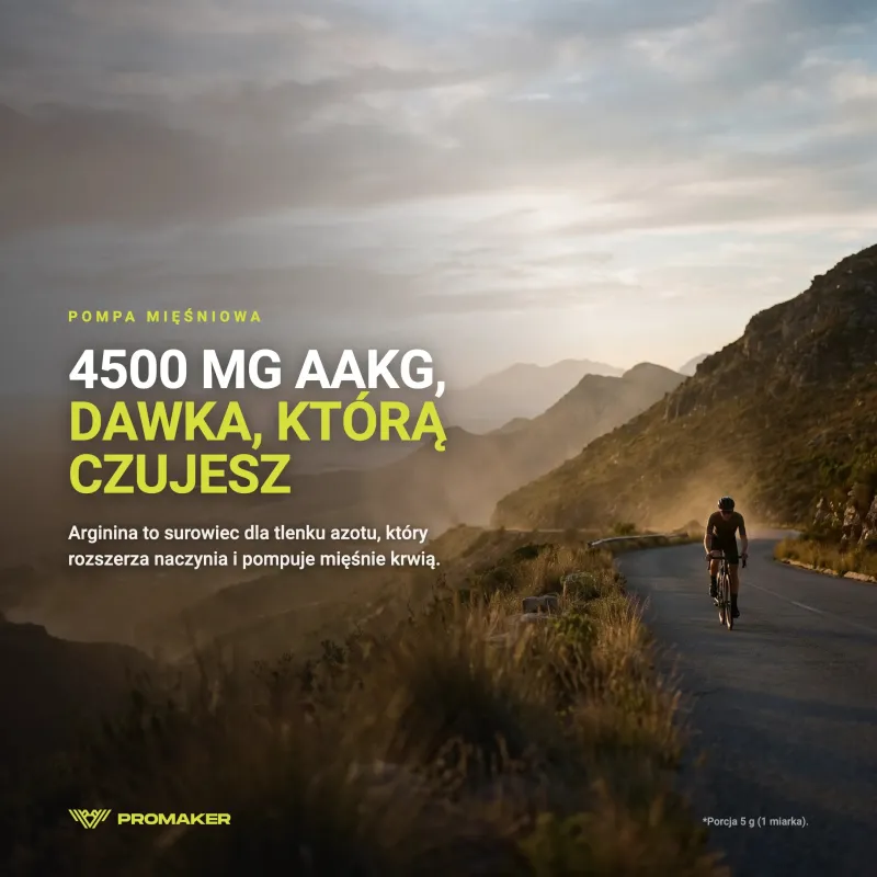 PROMAKER AAKG PUMPING SUPPLEMENT 250 G – everyday supplement from a Polish manufacturer