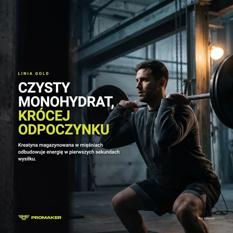 Kreatyna Monohydrat Promaker Gold Creatine 300g – suplement w codziennym użyciu