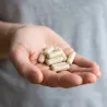 Pamięć i Koncentracja Soplówka Jeżowata Promaker Lion's Mane 400mg 90kaps – pojedyncza porcja
