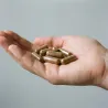 Suplement Energetyczny  Promaker EUPHORIA ENERGY PRO+ 90caps – pojedyncza porcja