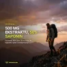Booster Testosteronu Kozieradka  Promaker Fenugreek 500mg 90 caps – suplement w codziennym użyciu